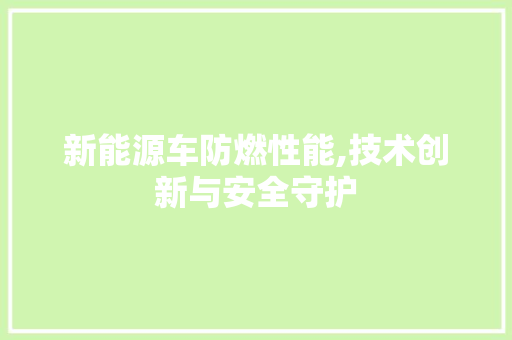 新能源车防燃性能,技术创新与安全守护