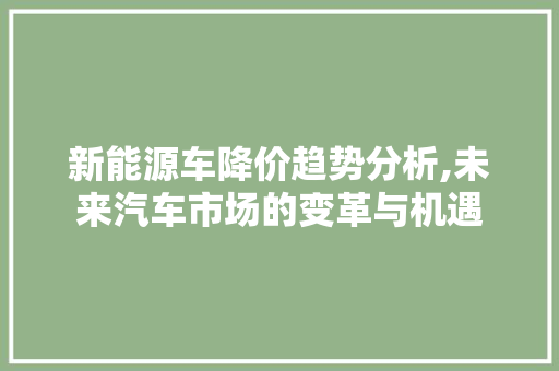 新能源车降价趋势分析,未来汽车市场的变革与机遇  第1张