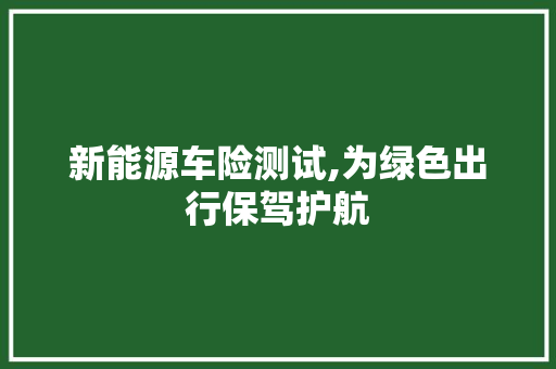 新能源车险测试,为绿色出行保驾护航  第1张