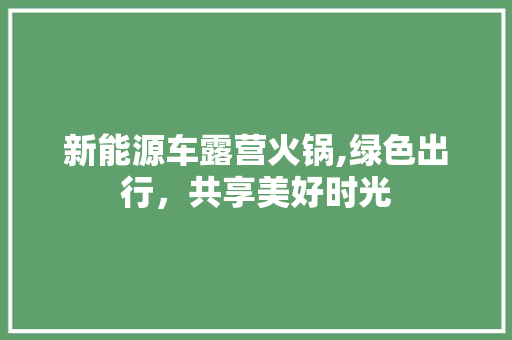 新能源车露营火锅,绿色出行，共享美好时光