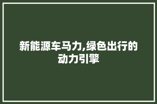 新能源车马力,绿色出行的动力引擎