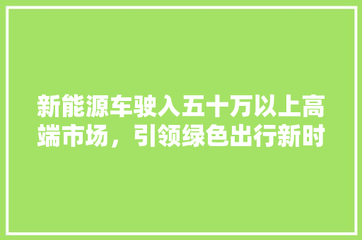 新能源车驶入五十万以上高端市场，引领绿色出行新时代  第1张