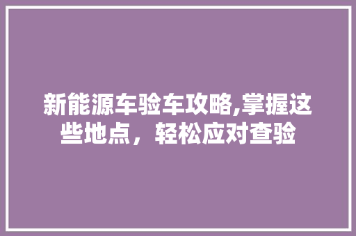 新能源车验车攻略,掌握这些地点，轻松应对查验  第1张