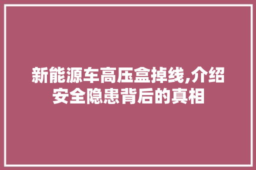 新能源车高压盒掉线,介绍安全隐患背后的真相  第1张