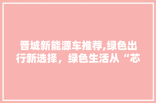 晋城新能源车推荐,绿色出行新选择，绿色生活从“芯”开始