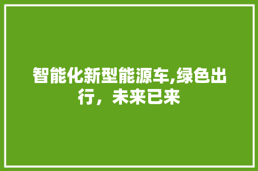 智能化新型能源车,绿色出行，未来已来