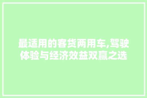 最适用的客货两用车,驾驶体验与经济效益双赢之选  第1张