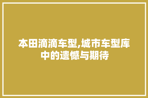 本田滴滴车型,城市车型库中的遗憾与期待  第1张