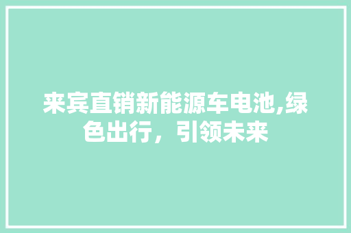 来宾直销新能源车电池,绿色出行，引领未来