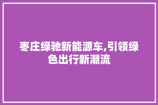 枣庄绿驰新能源车,引领绿色出行新潮流