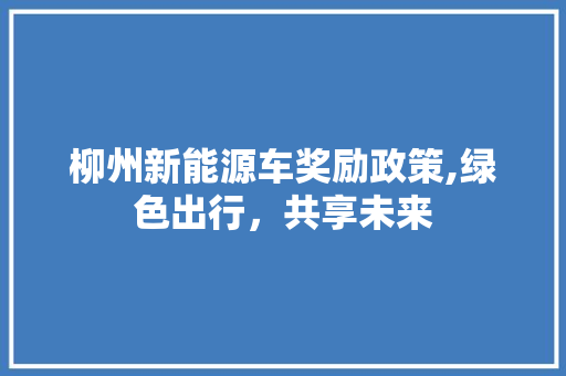 柳州新能源车奖励政策,绿色出行，共享未来