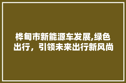 桦甸市新能源车发展,绿色出行，引领未来出行新风尚  第1张