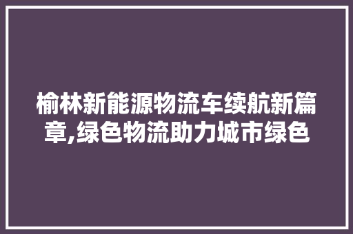 榆林新能源物流车续航新篇章,绿色物流助力城市绿色发展  第1张