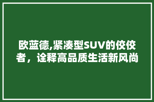 欧蓝德,紧凑型SUV的佼佼者，诠释高品质生活新风尚