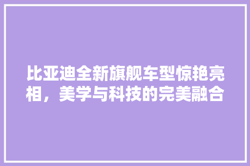 比亚迪全新旗舰车型惊艳亮相，美学与科技的完美融合