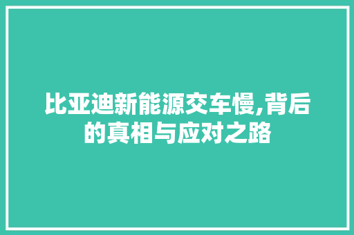 比亚迪新能源交车慢,背后的真相与应对之路  第1张