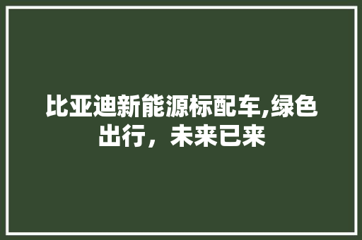 比亚迪新能源标配车,绿色出行，未来已来  第1张