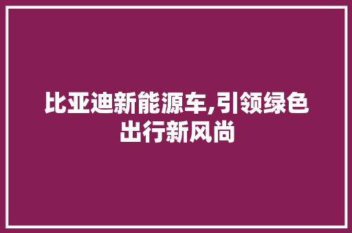 比亚迪新能源车,引领绿色出行新风尚  第1张