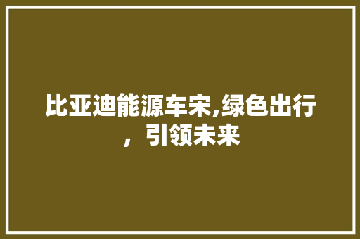 比亚迪能源车宋,绿色出行，引领未来  第1张