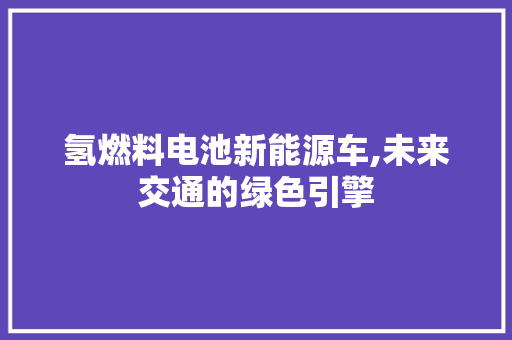 氢燃料电池新能源车,未来交通的绿色引擎