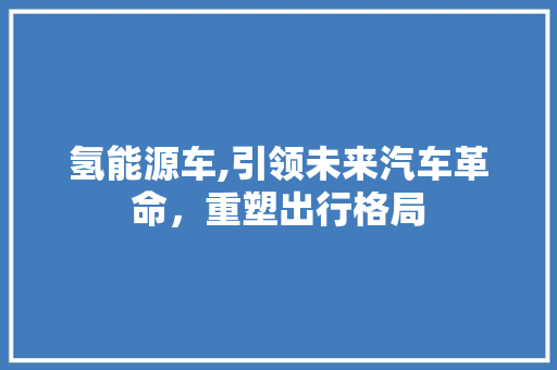 氢能源车,引领未来汽车革命，重塑出行格局  第1张