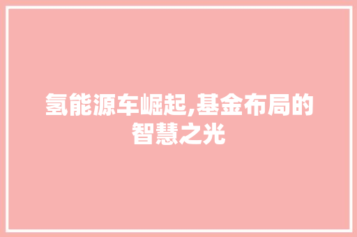 氢能源车崛起,基金布局的智慧之光  第1张