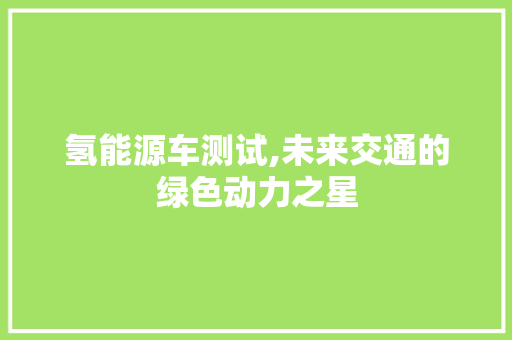 氢能源车测试,未来交通的绿色动力之星  第1张