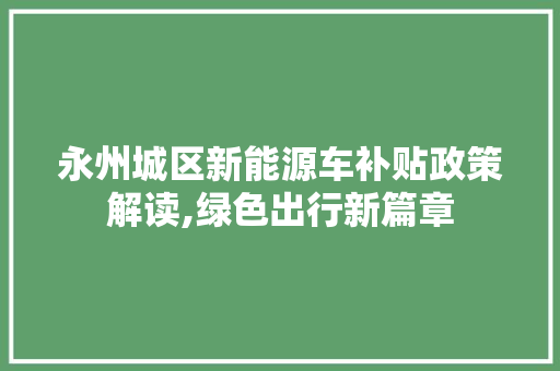 永州城区新能源车补贴政策解读,绿色出行新篇章  第1张