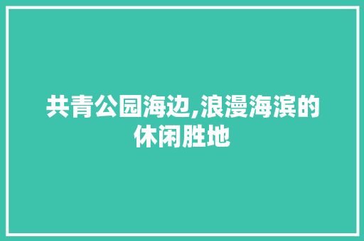 共青公园海边,浪漫海滨的休闲胜地