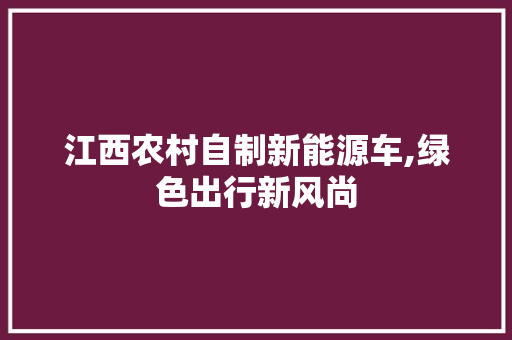 江西农村自制新能源车,绿色出行新风尚  第1张