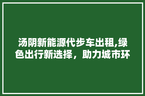 汤阴新能源代步车出租,绿色出行新选择，助力城市环保升级  第1张