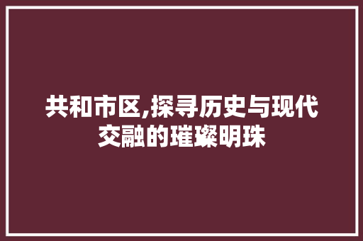 共和市区,探寻历史与现代交融的璀璨明珠