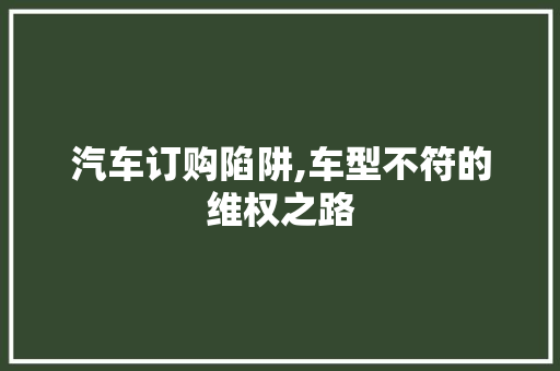 汽车订购陷阱,车型不符的维权之路  第1张