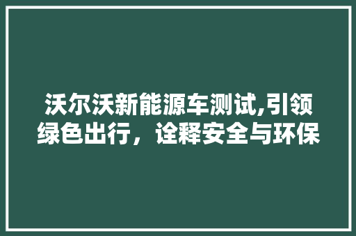 沃尔沃新能源车测试,引领绿色出行，诠释安全与环保的完美融合