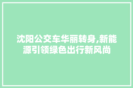 沈阳公交车华丽转身,新能源引领绿色出行新风尚  第1张