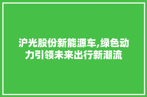 沪光股份新能源车,绿色动力引领未来出行新潮流  第1张