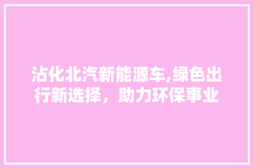 沾化北汽新能源车,绿色出行新选择，助力环保事业