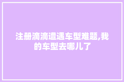 注册滴滴遭遇车型难题,我的车型去哪儿了  第1张