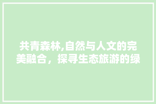 共青森林,自然与人文的完美融合，探寻生态旅游的绿色秘境