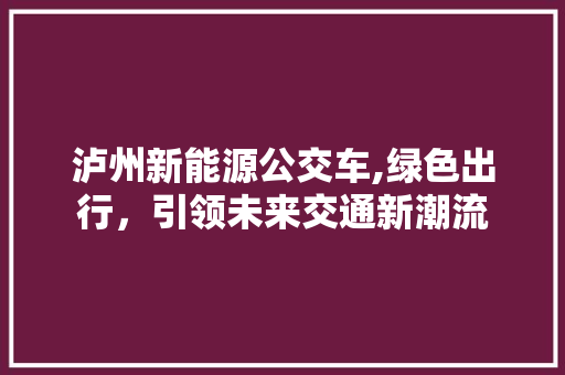 泸州新能源公交车,绿色出行，引领未来交通新潮流  第1张