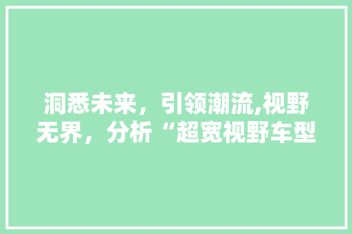 洞悉未来，引领潮流,视野无界，分析“超宽视野车型”的卓越魅力  第1张