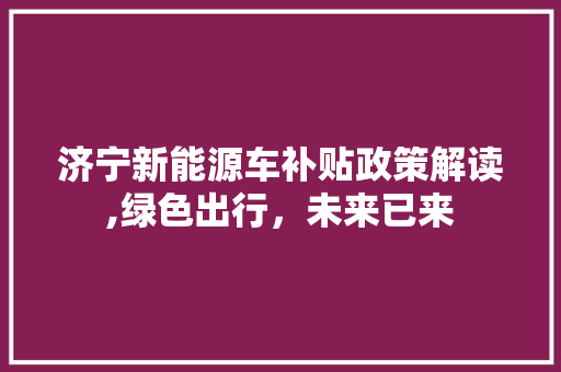 济宁新能源车补贴政策解读,绿色出行，未来已来  第1张