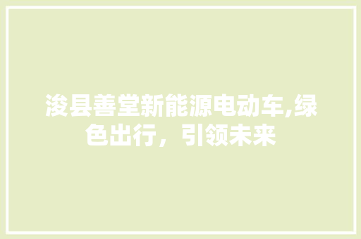 浚县善堂新能源电动车,绿色出行，引领未来