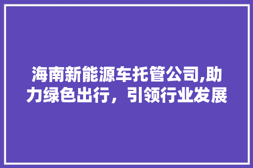 海南新能源车托管公司,助力绿色出行，引领行业发展新潮流