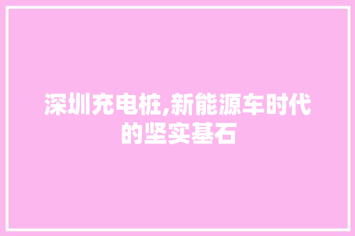 深圳充电桩,新能源车时代的坚实基石