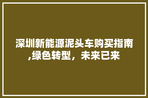 深圳新能源泥头车购买指南,绿色转型，未来已来  第1张