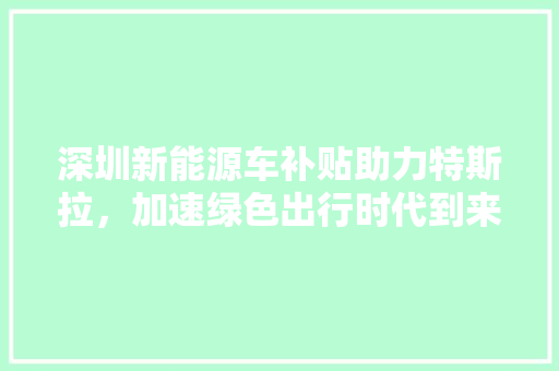 深圳新能源车补贴助力特斯拉，加速绿色出行时代到来  第1张