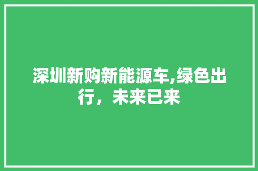 深圳新购新能源车,绿色出行，未来已来  第1张