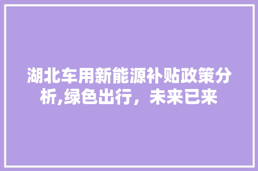 湖北车用新能源补贴政策分析,绿色出行，未来已来  第1张