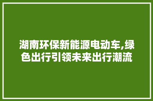 湖南环保新能源电动车,绿色出行引领未来出行潮流